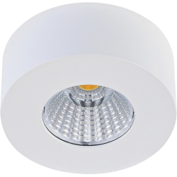 Точечный светильник Mono DL18812/7W White R