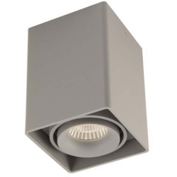 Точечный светильник Lumme DL18611/01WW-SQ Silver Grey
