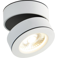 Точечный светильник Sun DL18958R25W1W