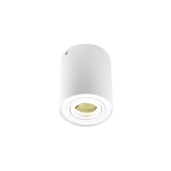 Точечный светильник  DL18613/01WW- R White