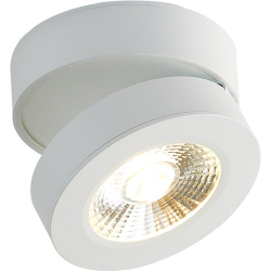 Точечный светильник Sun DL18962R12W1W