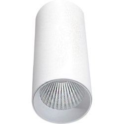 Точечный светильник Rollo DL18895R10N1W