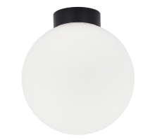 Настенно-потолочный светильник Munich DL18031G9Black 200