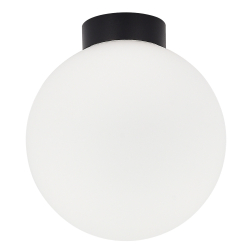 Настенно-потолочный светильник Munich DL18031G9Black 200