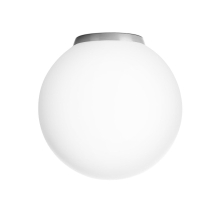 Настенно-потолочный светильник Ron CL941D20B1