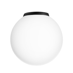 Настенно-потолочный светильник Ron CL941D20B5