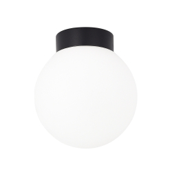 Настенно-потолочный светильник Munich DL18031G9Black 150