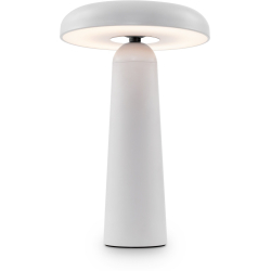 Интерьерная настольная лампа Mushroom FR6109TL-L4W