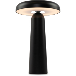 Интерьерная настольная лампа Mushroom FR6109TL-L4B