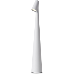 Интерьерная настольная лампа Clam FR6188TL-L3W