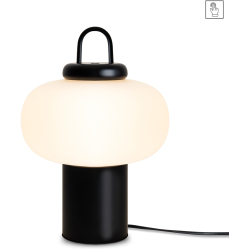Интерьерная настольная лампа Take FR6175TL-L10B