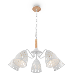 Подвесная люстра Nendo FR5138PL-05W