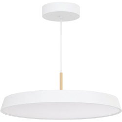 Подвесной светильник ELEGANT 033925