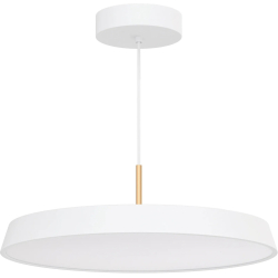Подвесной светильник ELEGANT 033924(1)