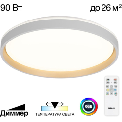 Потолочный светильник Enzo CL753510G