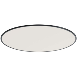 Потолочный светильник Disco DL20171R48NW1B