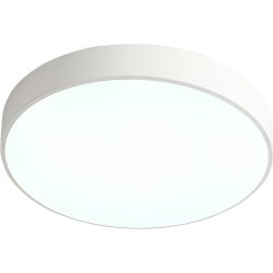 Потолочный светильник Tortty ZRS.02564.36