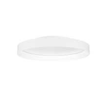 Потолочный светильник ESTELY 055366