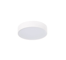 Потолочный светильник  DL18837/16W White R Dim