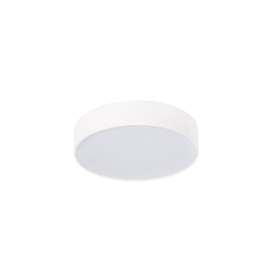 Потолочный светильник  DL18837/16W White R Dim