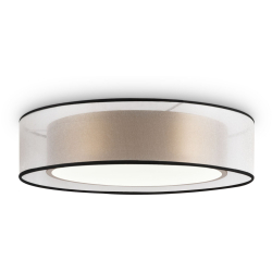 Потолочный светильник Zoticus FR6005CL-L36G