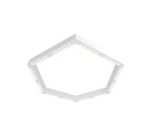 Потолочный светильник Eye-hex DL18515С111W72.48.900WW