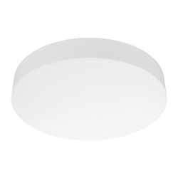 Потолочный светильник SP-FLOWER 049795