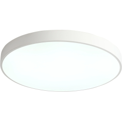 Потолочный светильник Tortty ZRS.02564.96