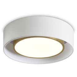 Потолочный светильник Cozy FR6170CL-L52BS