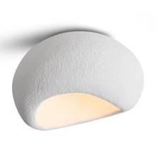 Потолочный светильник Mound FR5428CL-01W