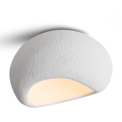 Потолочный светильник Mound FR5428CL-01W