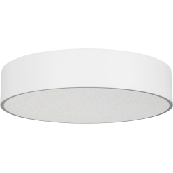 Потолочный светильник TOR PILL 022107(3)