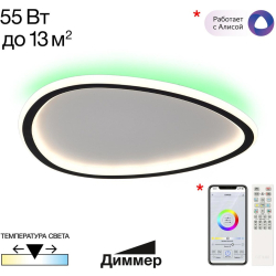 Потолочный светильник Тrio CL215B241E