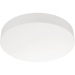 Потолочный светильник SP-FLOWER 041107