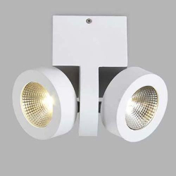 Спот DL18698 DL18698/12WW-White