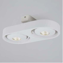 Спот DL18697 DL18697/12WW-White