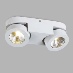 Спот DL18699 DL18699/12WW-White