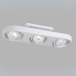Спот DL18697 DL18697/13WW-White