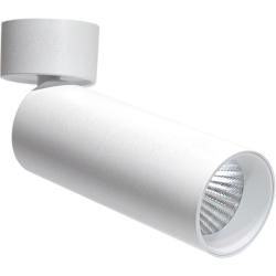 Спот Rollo DL18895R20W1W ST