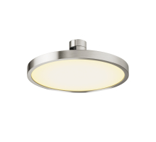 Трековый светильник Plato TR153-1-10W3K-PT