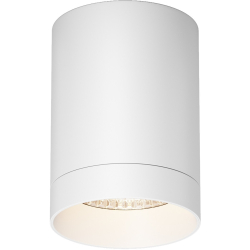 Потолочный светильник уличный Luxe O500CL-L10W3K