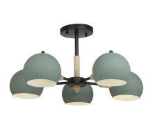 Потолочная люстра Trisha FR5032CL-05B