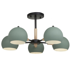 Потолочная люстра Trisha FR5032CL-05B