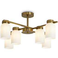 Потолочная люстра Kamelia FR5446PL-06BS