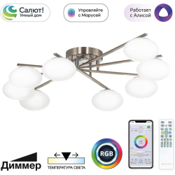 Потолочная люстра Atman Smart CL226A181
