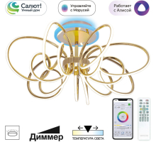 Потолочная люстра Salma Smart CL224A172