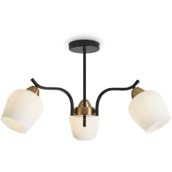 Потолочная люстра Shadow FR5422PL-03BZ