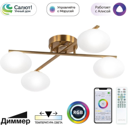 Потолочная люстра Atman Smart CL226A143