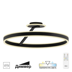 Потолочная люстра Дуэт CL719761