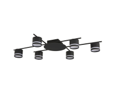 Потолочная люстра Berty 8362/6C